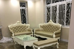 sofa tân cổ điển