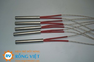 Điện trở cây 1 đầu 