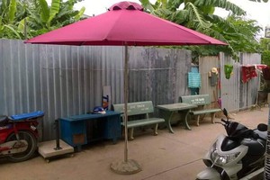 Dù xinh giá hạt dẻ