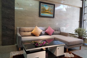 Sofa Vai màu ghi - AP 014