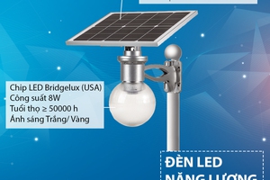 So sánh bài toán tiết kiệm giữa đèn Led và đèn Compact