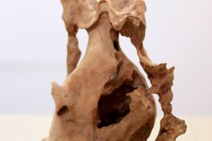 Thanh lý Lộc bình độc lạ