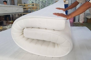 Nệm Cao Su thắng Lợi 1.6mx2x12cm