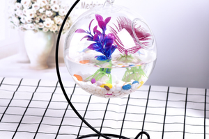 Bể cá Giá Treo chữ C giá rẻ