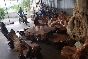 Bộ bàn ghế gỗ Nu Hương nguyên khối 7 món
