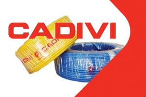 Dây cáp điện cadivi 2.5 có giá bao nhiêu?