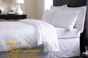 Bộ chăn ga gối 