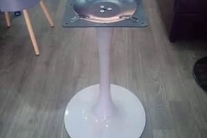 chân tulip nhập khẩu giá đẹp