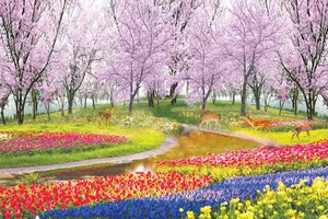 tranh gạch 3d vườn hoa .