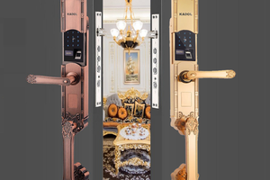 Khóa cửa vân tay biệt thự Kadol KD-VL8000