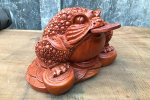 Khai Quang Điểm Nhãn Cóc Vàng - Cách Đặt Cóc Ngậm Tiền