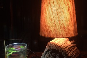 Đèn bàn vân gỗ xoắn ốc tự nhiên độc đáo