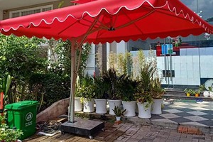 Dù cafe thanh lý giá rẻ, hàng mới 99%