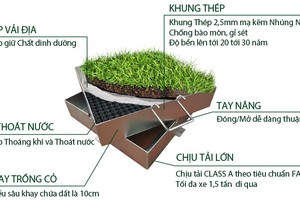 Nắp hố ga trồng cỏ