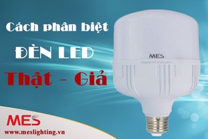 Mua đèn led bulb ở đâu giá rẻ