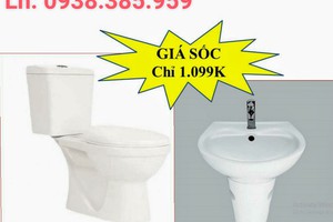 Bàn cầu D13+ Lavabo C05+Chân lavabo CC05