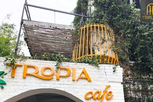 Công Trình Cải Tạo Quán Cafe Tropia – Từ Đơn Giản Đến Độc Đá