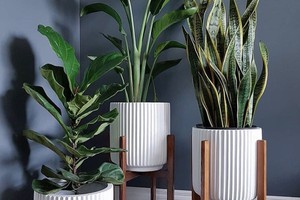 Giới thiệu chậu Composite 