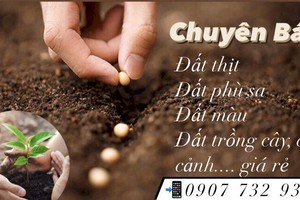 Báo giá đất màu trồng cây, đất trồng ở Hồ Chí Minh 