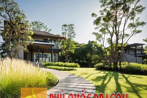 Công ty cây xanh - thiết kế sân vườn đẹp