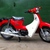 Chuyên xe honda cub 50cc mớI 100% từ hàn quốc,đàI loan,trung quốc trung ương,tàu địa phương hưng yên trâu quỳ lắp ráp.