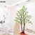 Giấy decal dán tường cây tán rộng 6 kiểu
