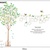 Decal dán tường cây tán tròn dây ảnh