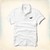 Ao-polo-Hollister
