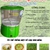 Máy trồng rau mầm Magic One MG81 Việt Nam