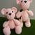 teddy-gau-nut