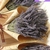 hoa-kho-lavender