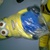 minion