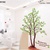 Decal dán tường cây xanh tán rộng 6 kiểu dán OV102