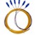 enbac
