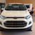 Ford ecosport giá tốt nhất miền bắc