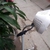 enbac