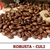 Ca-phe-Robusta-Culi-so-29
