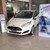 Bán xe ford fiesta 1.5 5D Sport, giá tốt nhất,có xe giao ngay