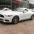 Bán Ford Mustang EcoBoost 2015 ful option,cực chất, xe nhập nguyên chiếc, có xe giao ngay