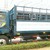 Giá xe tải OLLIN800A 8 tấn đời 2015