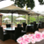 dù cafe giá rẻ mới 100%