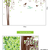 Decal Cây lưu giữ những kỉ niệm