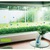 Decal Chân tường cỏ xanh