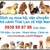 Dịch vụ vận chuyển cá cảnh, sinh vật cảnh, thú cưng Thái Lan