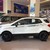 Ford EcoSport Titanium Black 1.5L AT