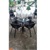 Bộ bàn ghế cafe nhựa đúc - BM057