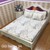 Set ga gối cotton poly