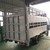THACO KIA K165 CGS chở gia súc tải trọng 1,5 tấn