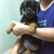 4 be rottweiler 2 tháng tuổi