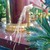 Thanh lý gà cảnh đuôi dài